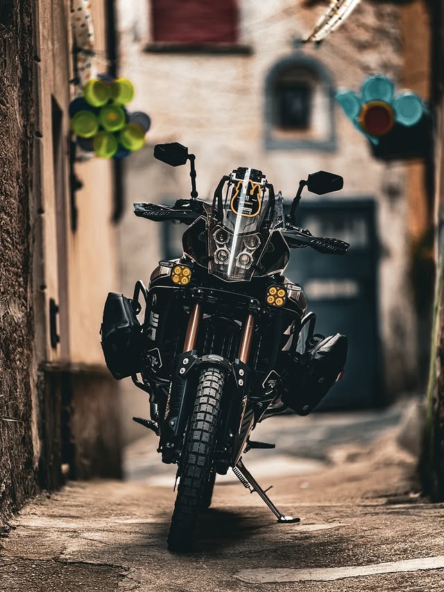SercoMoto SM4123S
